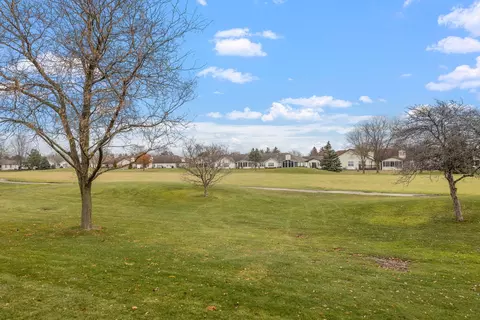 21012 W Hazelnut Ln, Plainfield, IL 60544 photo 23