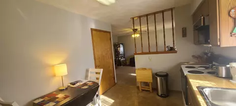 310 E Center St, Mount Morris, IL 61054 photo 26