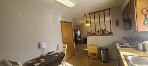 310 E Center St, Mount Morris, IL 61054 photo 17
