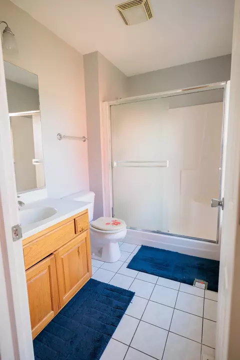 1020 Amaranth Dr, Aurora, IL 60504 photo 25