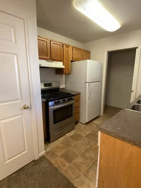 727 Hill Ave, Elgin, IL 60120 photo 5