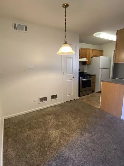 727 Hill Ave, Elgin, IL 60120 photo 7