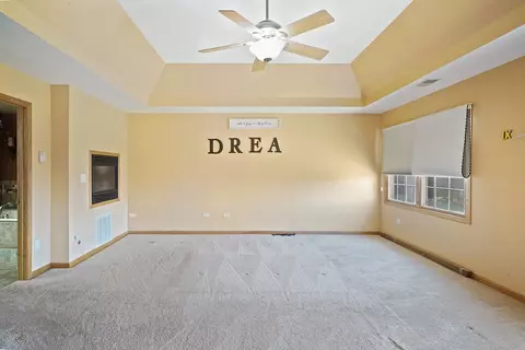 24320 S Pine Ridge Dr, Monee, IL 60449 photo 21