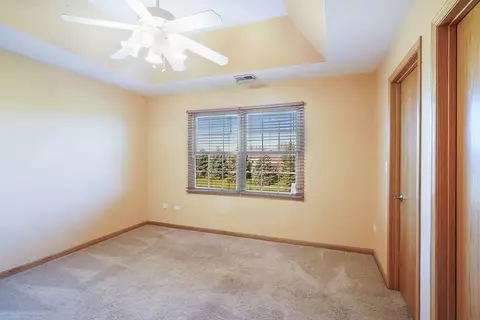 24320 S Pine Ridge Dr, Monee, IL 60449 photo 20