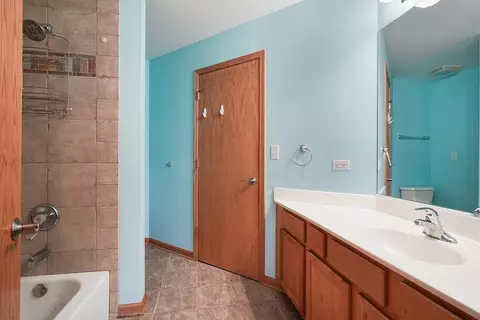 24320 S Pine Ridge Dr, Monee, IL 60449 photo 29