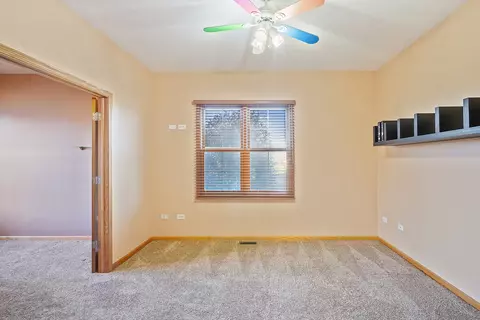 24320 S Pine Ridge Dr, Monee, IL 60449 photo 17