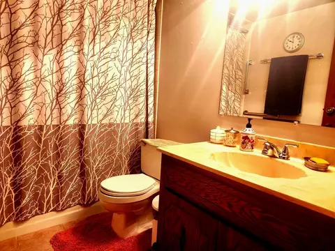 4010 150th St #3, Midlothian, IL 60445 photo 16