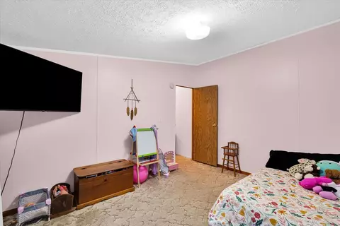 603 E Lincoln Ave, Ogden, IL 61859 photo 15