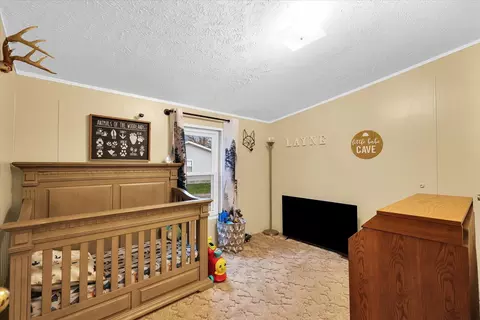 603 E Lincoln Ave, Ogden, IL 61859 photo 17