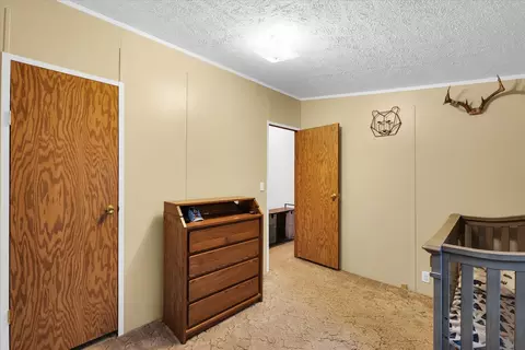 603 E Lincoln Ave, Ogden, IL 61859 photo 18