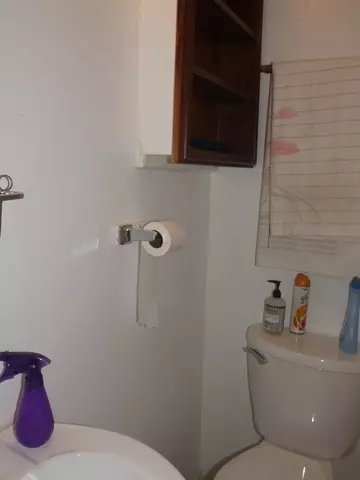 943 S 3rd Ave, Kankakee, IL 60901 photo 14