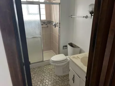 Bath - 828 Maple Rd, Flossmoor, IL 60422 photo 2 of 3