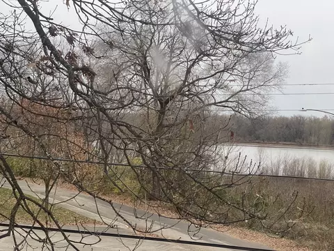 211 E 3rd St, Depue, IL 61322 photo 29