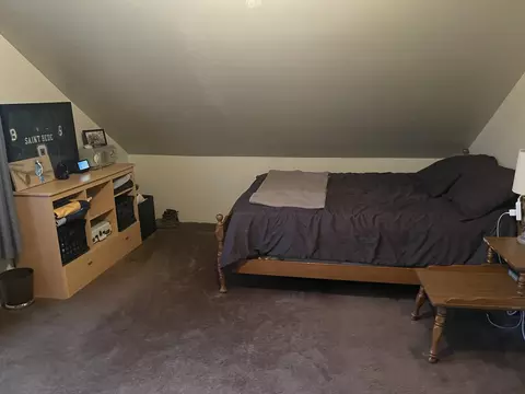 211 E 3rd St, Depue, IL 61322 photo 22