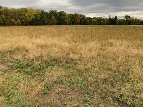 15604 Manns Chapel Rd, Rossville, IL 60963