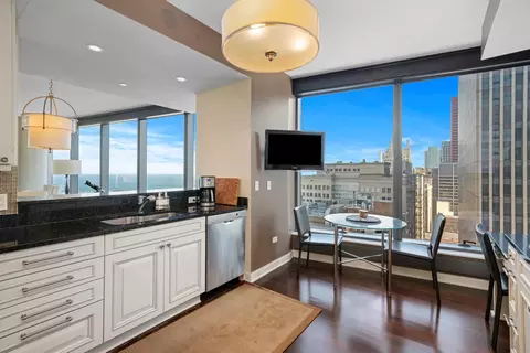 60 E Monroe St #2502, Chicago, IL 60603 photo 10