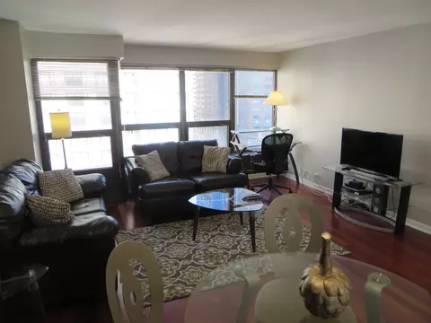 30 E Huron St #910, Chicago, IL 60611 photo 8