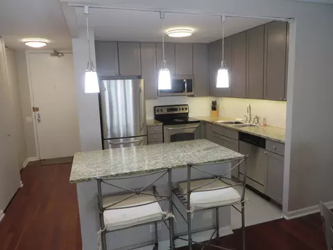30 E Huron St #910, Chicago, IL 60611 photo 4