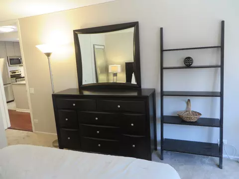 30 E Huron St #910, Chicago, IL 60611 photo 10
