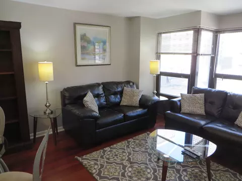 30 E Huron St #910, Chicago, IL 60611 photo 7