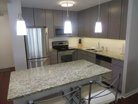 30 E Huron St #910, Chicago, IL 60611 photo 5