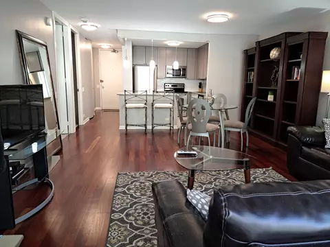 30 E Huron St #910, Chicago, IL 60611 photo 3