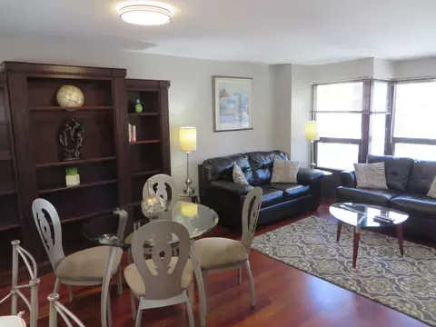 30 E Huron St #910, Chicago, IL 60611 photo 6