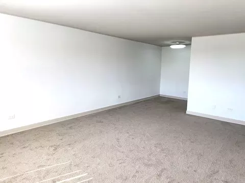 1500 Robin Cir #417, Hoffman Estates, IL 60169 photo 11