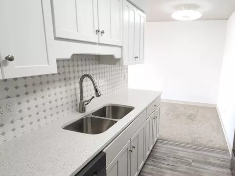 1500 Robin Cir #417, Hoffman Estates, IL 60169 photo 5