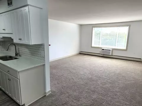 1500 Robin Cir #417, Hoffman Estates, IL 60169 photo 9
