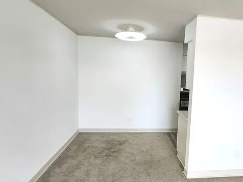 1500 Robin Cir #417, Hoffman Estates, IL 60169 photo 12