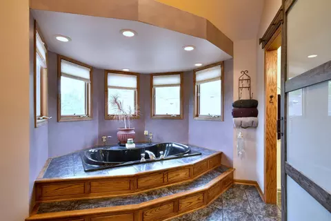 Bath - 336 N Walnut St, Elmhurst, IL 60126 photo 5 of 5