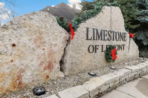 1058 Limestone Dr, Lemont, IL 60439