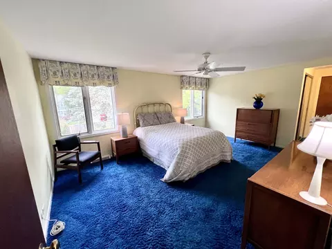 2860 White Pine Dr, Northbrook, IL 60062 photo 21