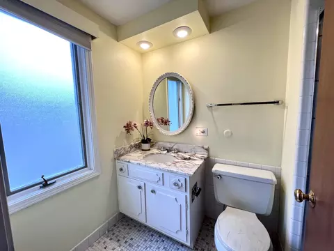 2860 White Pine Dr, Northbrook, IL 60062 photo 23