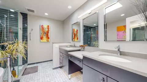 904 S Morgan St, Chicago, IL 60607 photo 21