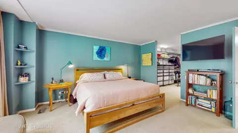 904 S Morgan St, Chicago, IL 60607 photo 19