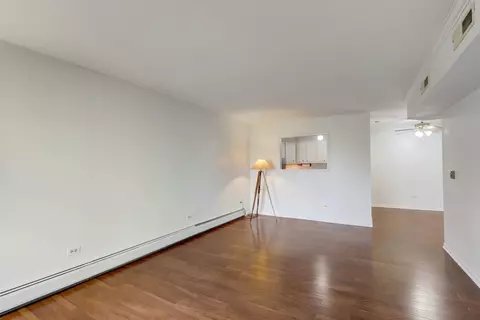550 E Main St #2E, Barrington, IL 60010 photo 5