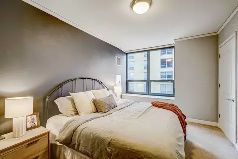 450 E Waterside Dr #709, Chicago, IL 60601 photo 15