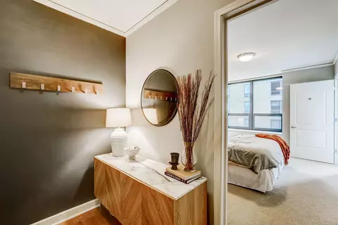 450 E Waterside Dr #709, Chicago, IL 60601 photo 25