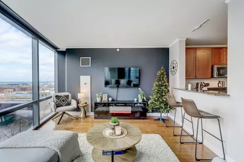 450 E Waterside Dr #709, Chicago, IL 60601 photo 4