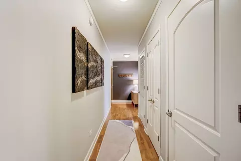 450 E Waterside Dr #709, Chicago, IL 60601 photo 30
