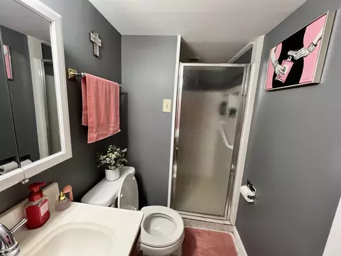 808 Bellevue Ave, Elgin, IL 60120 photo 26