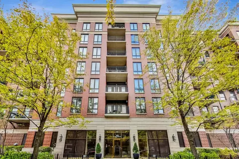 343 W Old Town Ct #502, Chicago, IL 60610