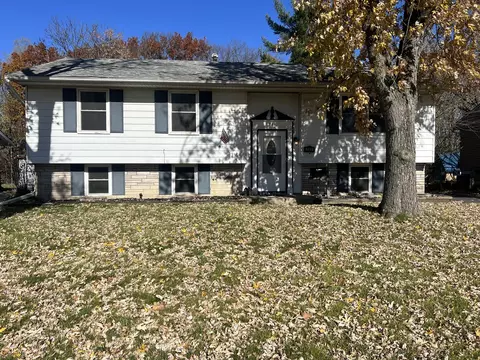 341 E Maple Dr, Glenwood, IL 60425