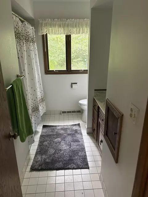 1125 Morningside Dr, Elgin, IL 60123 photo 18