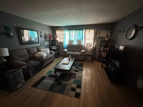 160 S Curtis Ave, Kankakee, IL 60901 photo 3