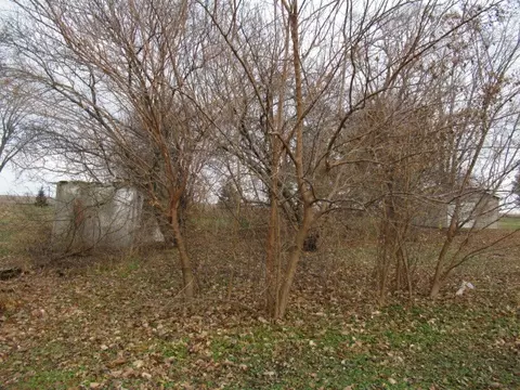 520 North St, Weldon, IL 61882 photo 5
