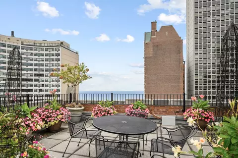 73 Elm St #6C, Chicago, IL 60611 photo 18