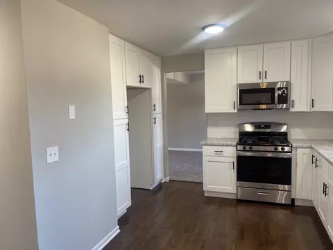 3 Sutcliff Ct, Algonquin, IL 60102 photo 12